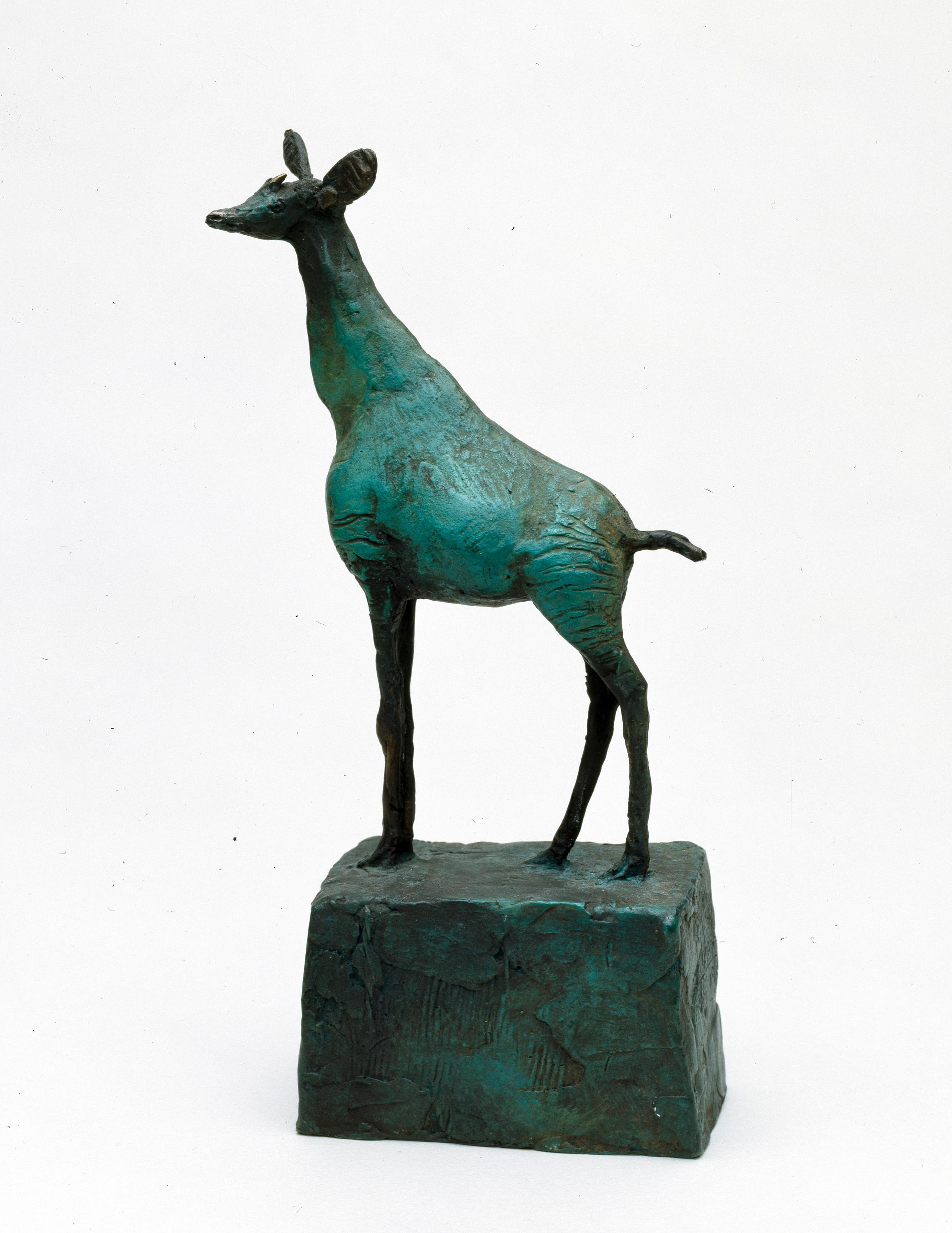 Okapi - Hans Scheib 